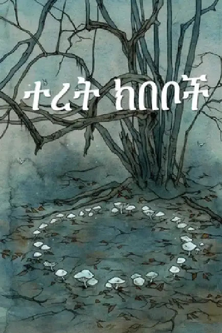 ተረት ክበቦች: Fairy Circles, Amharic edition by Unknown