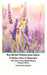 Best Herbal Medicine from Nature to Reduce Stress and Depression plus Improve Mental Health Healing Bilingual Edition by Jannah Firdaus Mediapro