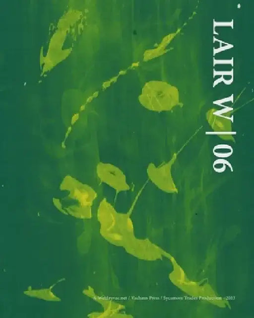 Lair W 06 by Wetdryvac