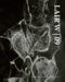 Lair W 09 by Wetdryvac