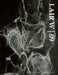 Lair W 09 by Wetdryvac