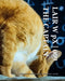 LAIR W pX 009 The Captain by Wetdryvac