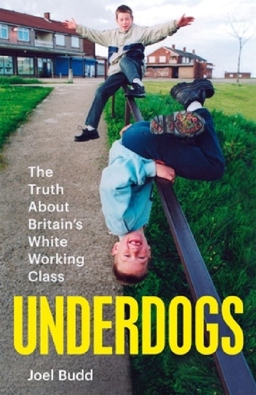 Underdogs: The Truth About Britain's White Working Class by Joel Budd