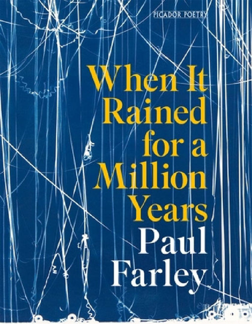 When It Rained for a Million Years by Paul Farley
