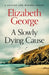 A Slowly Dying Cause by Elizabeth George Speare