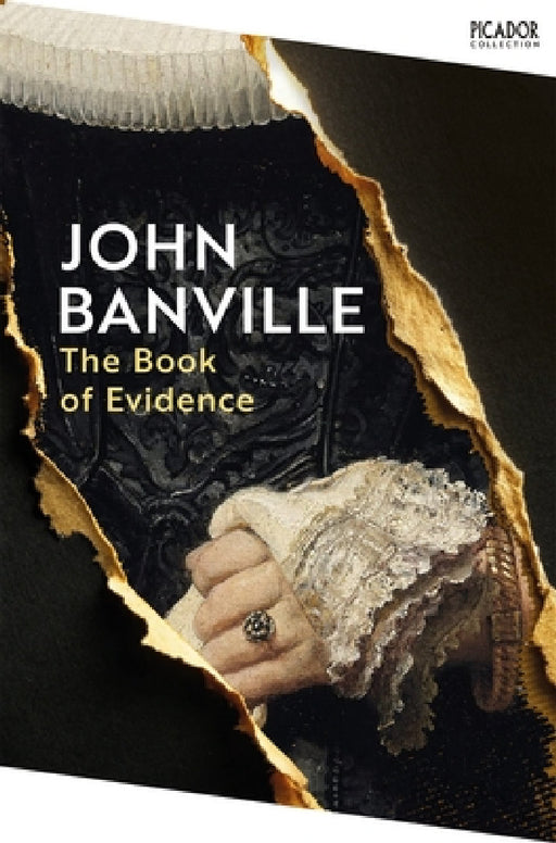 The Book of Evidence by John Banville