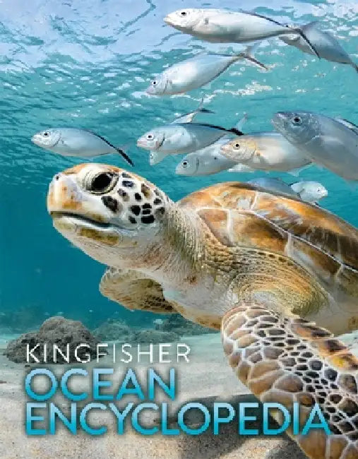The Kingfisher Ocean Encyclopedia by Anna Claybourne
