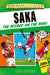 Saka: The Wizard on the Wing by Clive Gifford