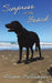 Surprise at the Beach by Alison Bellringer