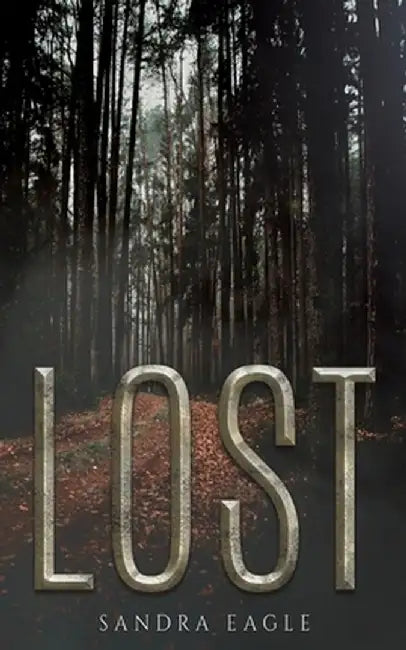 Lost by Sandra Eagle