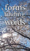 forms finding words by Delphine Norwirth
