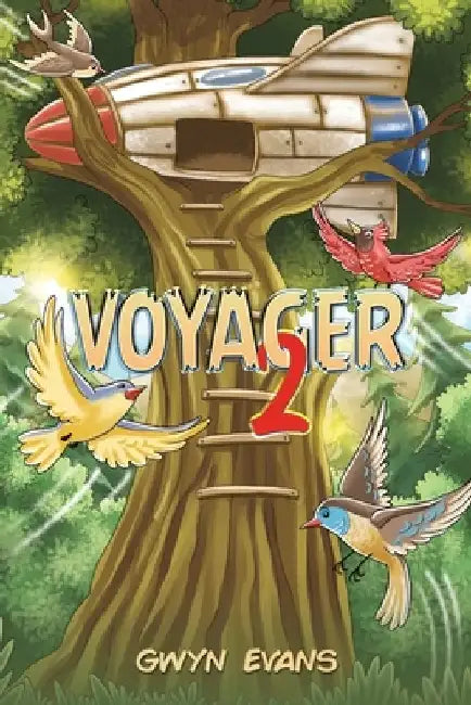Voyager 2 by Gwyn Evans