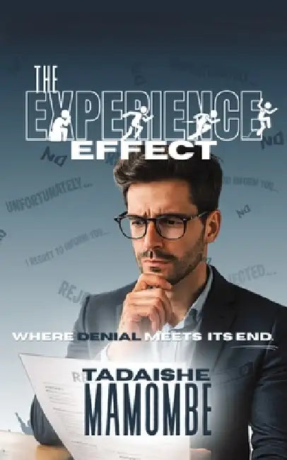 The Experience Effect by Tadaishe Mamombe