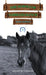The Horses of Saddlers Ranch: Black Knight by Alison Bellringer