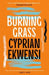 Burning Grass by Cyprian Ekwensi