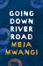 Going Down River Road by Meja Mwangi