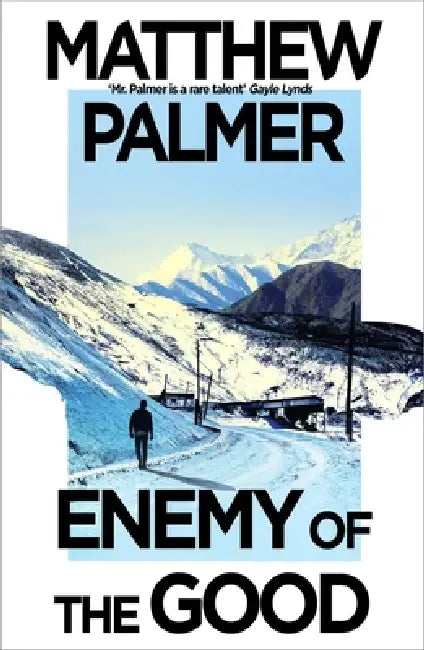 Enemy of the Good by Matthew Palmer