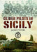 Glider Pilots in Sicily by Mike Peters