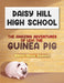 The Amazing Adventures of Levi the Guinea Pig by Kerri-Anne Demelt
