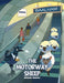 The Motorway Sheep by Michael Brophy