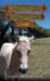 The Horses of Saddlers Ranch: Acorn by Alison Bellringer