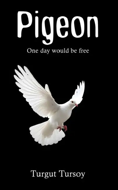 Pigeon by Turgut Tursoy