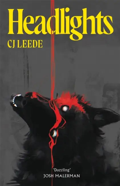 Headlights by CJ Leede