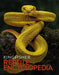 The Kingfisher Reptile Encyclopedia by Kingfisher