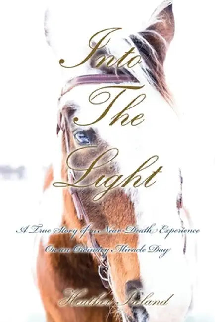 Into The Light: A True Story of a Near-Death Experience on An Ordinary Miracle Day by Heather Ireland