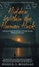 Hidden Within the Human Husk: Beyond Self - Service, Philosophy, and Personal Development by Dustin R. C. McClellan