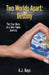 Two Worlds Apart: Destiny: The True Story of a Twin Flame Journey by A. J. Rays