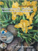Watercolour Toolbox (Revised Edition): Essentials for Painting Success by Richardson, Karen