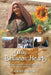 A Way Between Hearts: A Gardener's Journey of Faith, Healing and Hope in the Remote Central Highlands of Afghanistan by Heather Bellamy