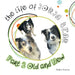 The Life of Jorja Bear Part 2 Old and New: Old And New by Radha Sharma