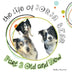 The Life of Jorja Bear Part 2 Old and New: Old And New by Radha Sharma