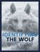 Identifying The Wolf: Shedding Light on the Grooming Behaviours of Sexual Predators by Lisa Hilton