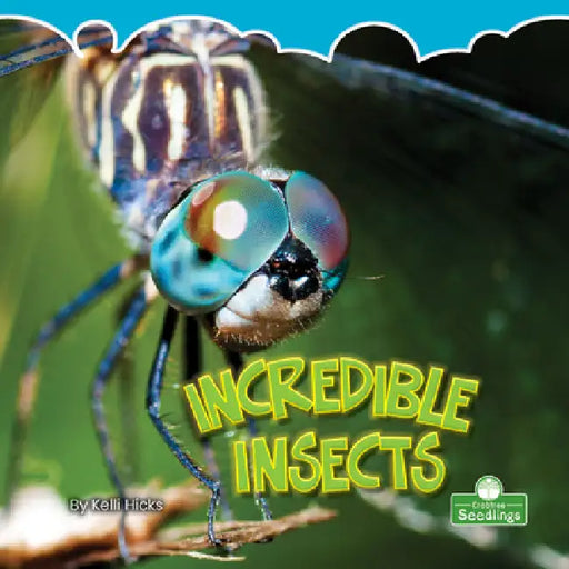 Incredible Insects by Kelli Hicks