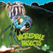 Incredible Insects by Kelli Hicks