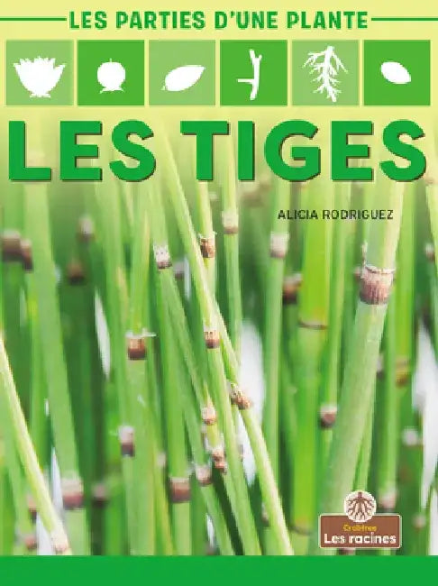 Les Tiges (Stems) by Alicia Rodriguez