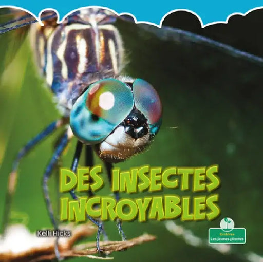 Des Insectes Incroyables (Incredible Insects) by Kelli Hicks