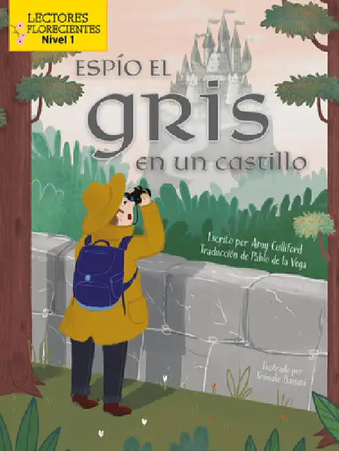 Espío El Gris En Un Castillo (I Spy Gray in a Castle) by Amy Culliford, Srimalie Bassani