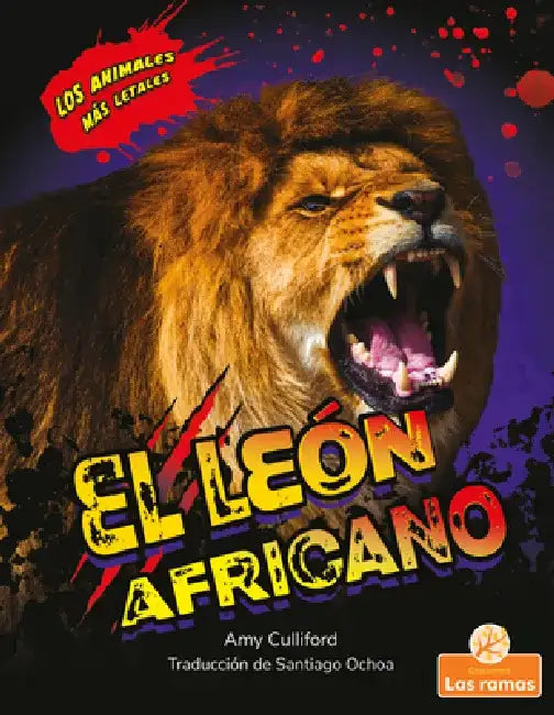 El León Africano (African Lion) by Amy Culliford