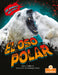 El Oso Polar (Polar Bear) by Amy Culliford, Santiago Ochoa