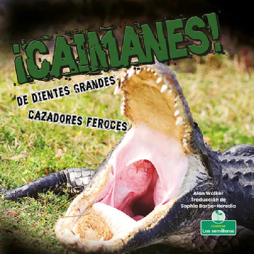 ¡Caimanes! de Dientes Grandes. Cazadores Feroces (Alligators! Big Teeth, Fierce Hunters) by Alan Walker, Sophia Barba-Heredia