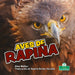 Aves de Rapiña (Birds of Prey) by Alan Walker, Sophia Barba-Heredia