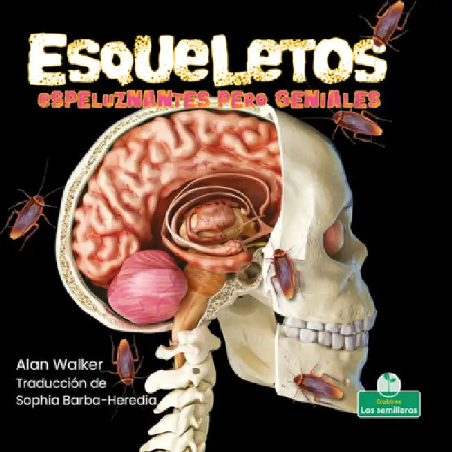 Esqueletos Espeluznantes Pero Geniales (Creepy But Cool Skeletons) by Alan Walker, Sophia Barba-Heredia