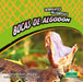 Bocas de Algodón (Cottonmouths) by Tracy Nelson Maurer, Sophia Barba-Heredia