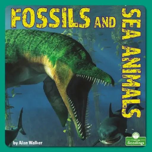 Fossils and Sea Animals by Alan Walker