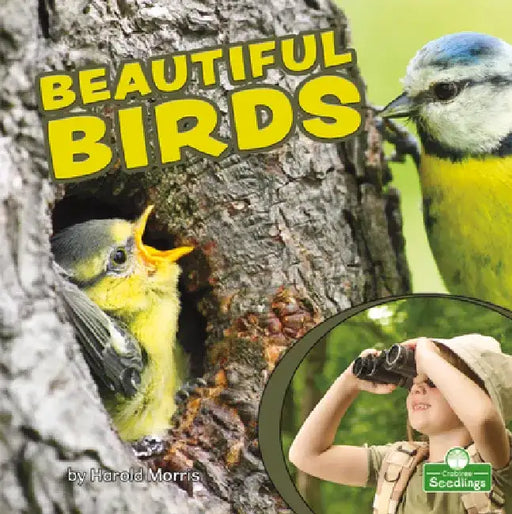 Beautiful Birds by Harold Morris