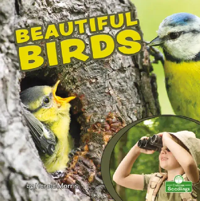 Beautiful Birds by Harold Morris